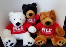 Load image into Gallery viewer, MLC Teddy Bear